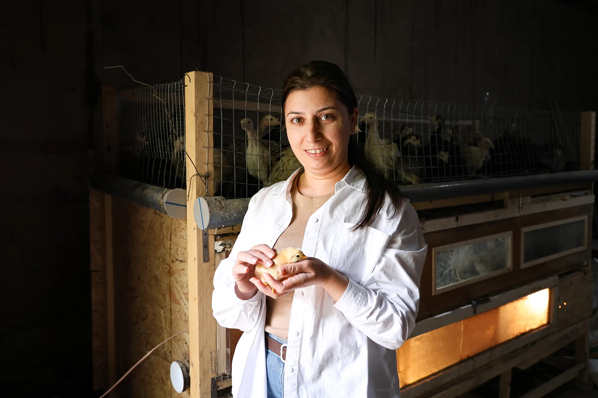 Marianna's Journey of Strength - Arev Society